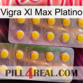 Vigra Xl Max Platinum new10